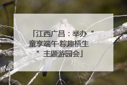江西广昌：举办“童享端午·粽趣横生”主题游园会